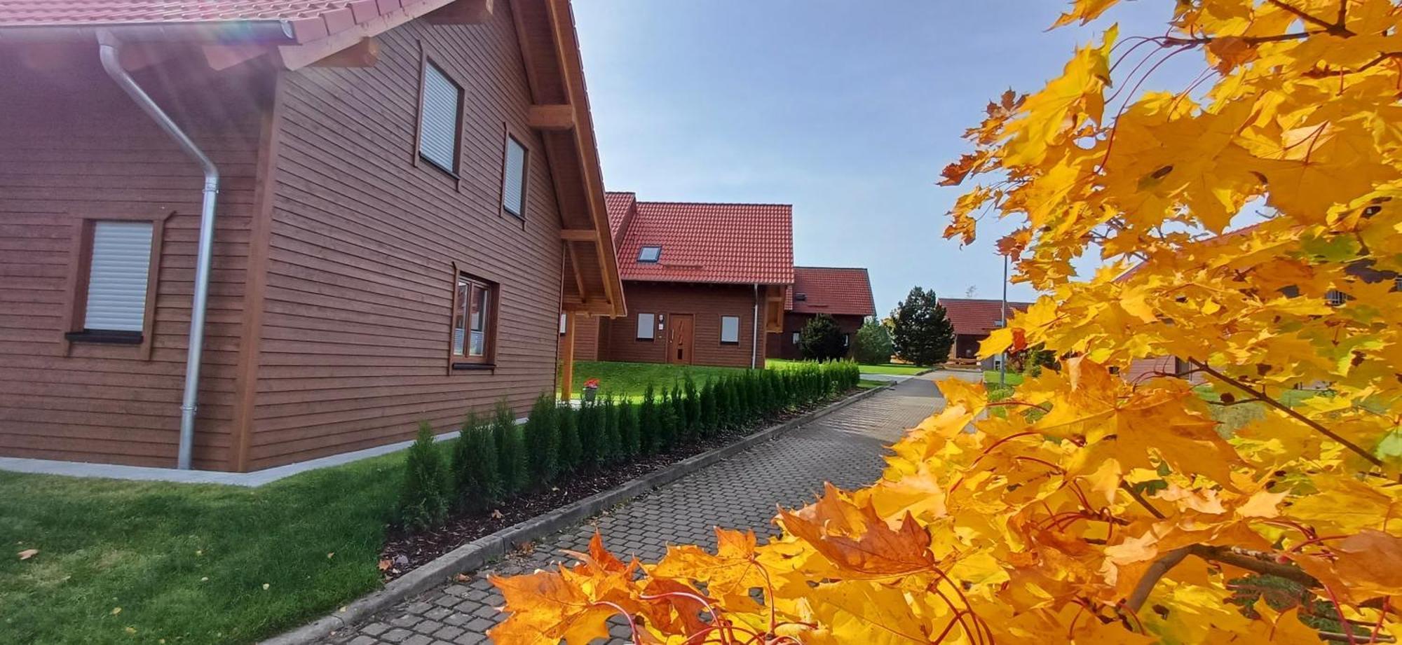 Premiumferienhaus Bhakti Hasselfelde Exterior foto